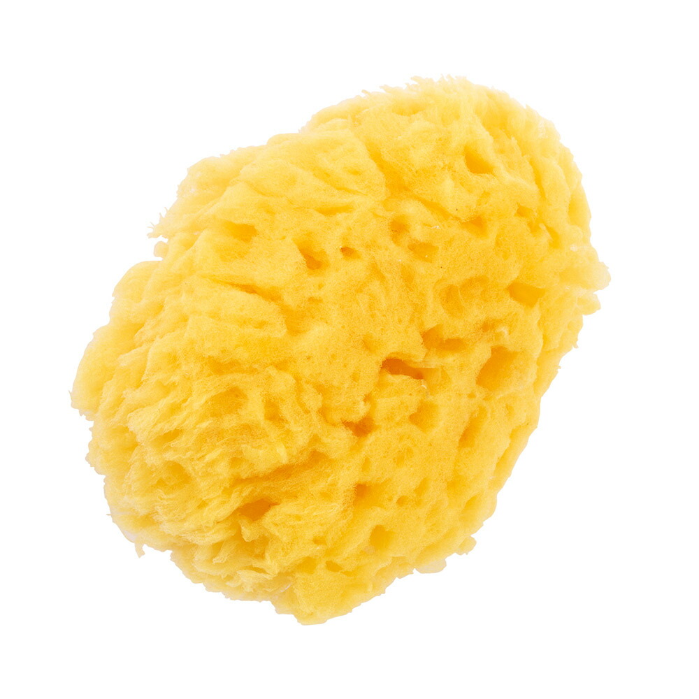 天然カイメン 72個セット