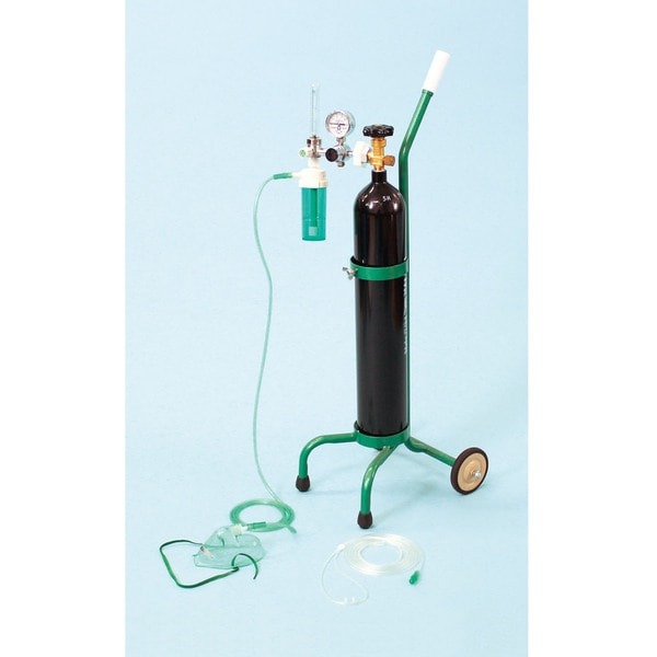 エマジンオキシゲンシステム　容器なし OX-500V-NC ブルークロス・エマージェンシー 19,800円