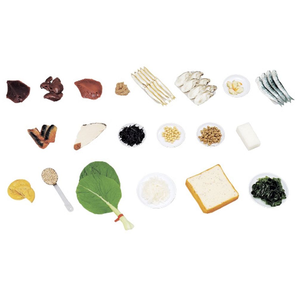 鉄分を多く含む食品モデル（20品） 70-A（ジシャクツキ） 1組 イワイサンプル 24-4512-00