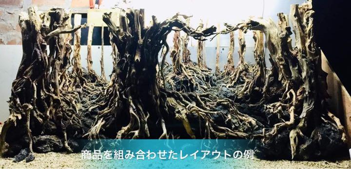 楽天市場】空洞型バニヤン盆栽流木ADA 流木（水槽専用アート流木