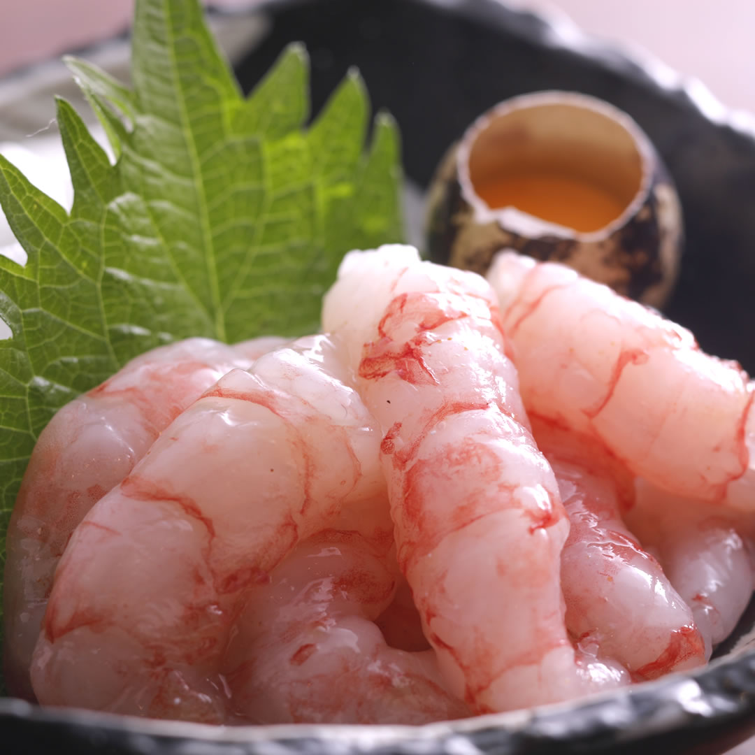 甘エビ 12kg | MMサイズ 南蛮エビ あまえび 甘海老 海老 寿司ネタ 寿司 まとめ買い 仕入れ 水産仕入 業務用 御歳暮 お歳暮 正月 年末年始 新潟・佐渡産 甘エビ「南蛮エビ」甘えび 尾付き むき身 刺身