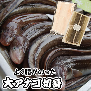 gdfdgjzn