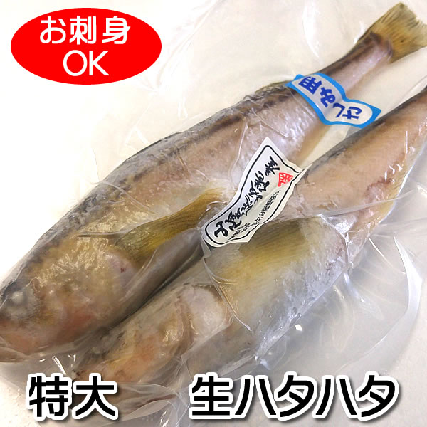 楽天市場】【限定品】珍味！スズキ白子（しらこ）【冷凍】 約100ｇ 【浜坂産】 （すずき、・しらこ） : 毎日漁港へ目利き一筋！かにの山米