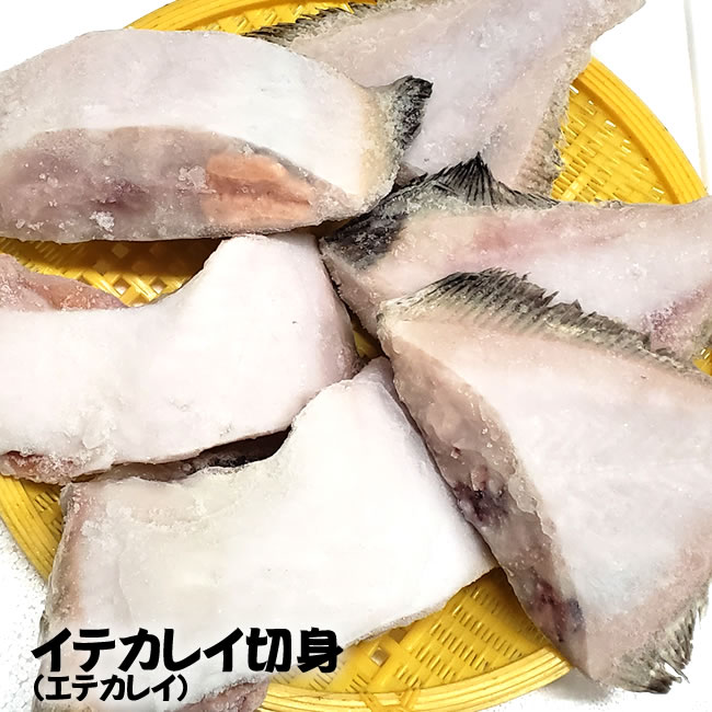 61 Off シイラ切身 冷凍 2切で約190 0g入り 山陰浜坂産 61 Off シイラ切身 冷凍 2切で約190 0g入り 山陰浜坂産