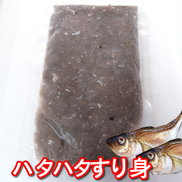 楽天市場】クロクチ（冷凍）サイズ混ざり 300ｇ （浜坂産）（ムラサキインコ）つりえさ、餌 : 毎日漁港へ目利き一筋！かにの山米