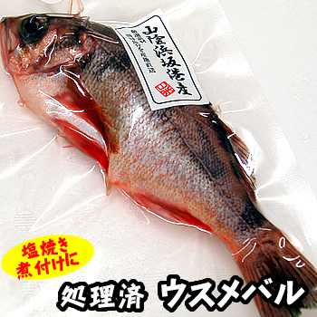 津軽海峡メバル 青森 高級魚 ウスメバル ごはんジャパンで紹介 京都のお墨付き