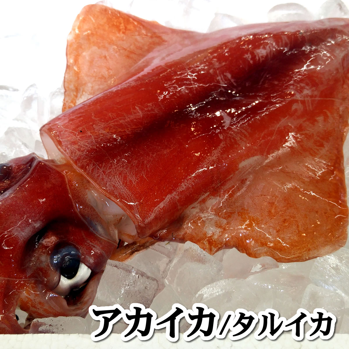 楽天市場】赤いか棒身（むき身）【冷凍】約500g 【浜坂産】（赤イカ・アカイカ・ソデイカ、タルイカ・烏賊） : 毎日漁港へ目利き一筋！かにの山米