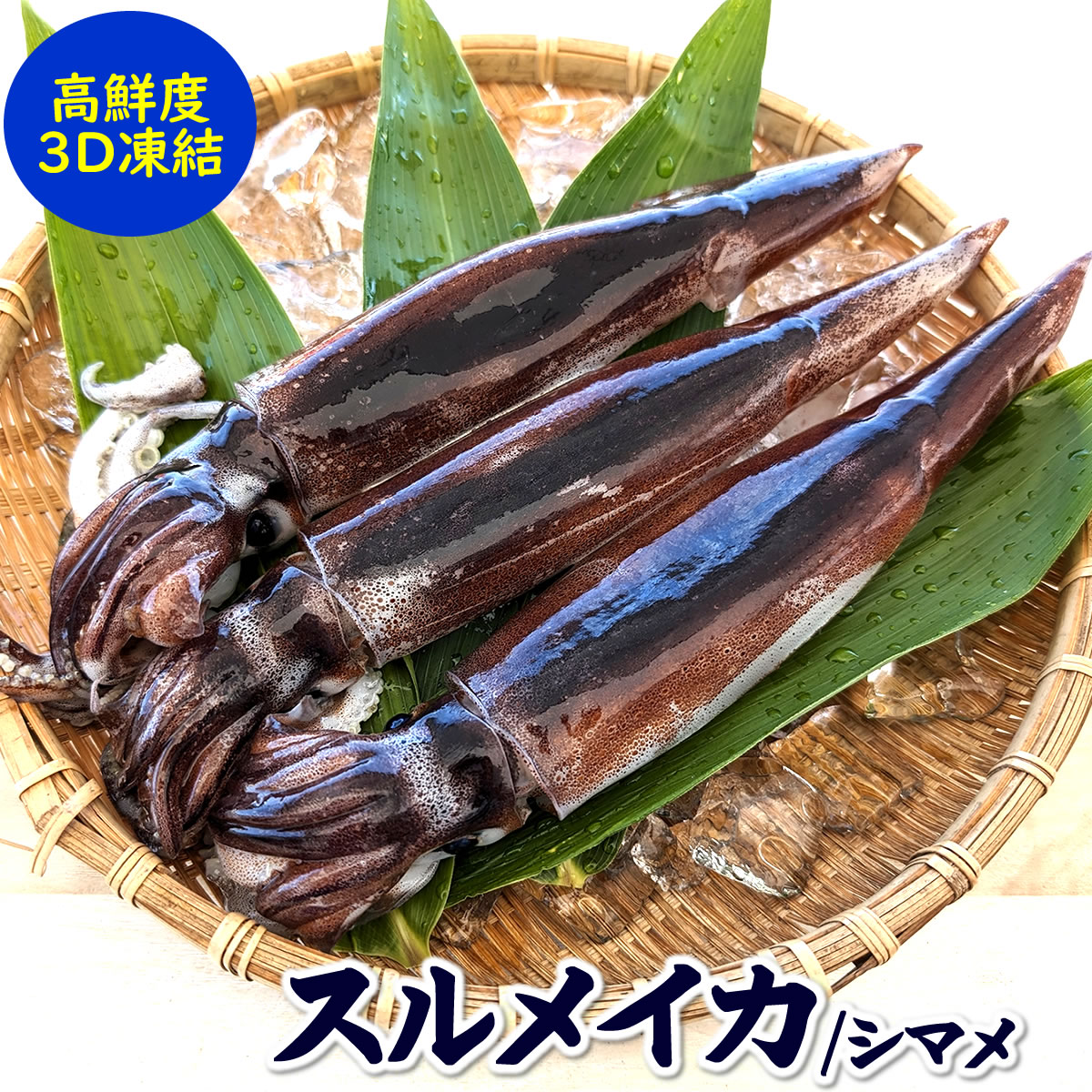 楽天市場】肉厚 するめいか（冷凍）大 1杯 約400g以上 兵庫県浜坂産