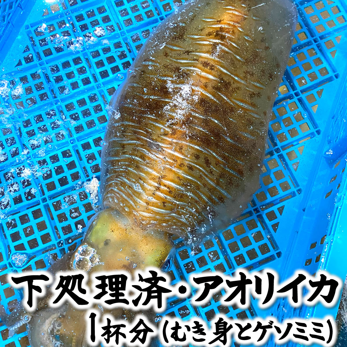 楽天市場】アオリイカ（冷凍） 1杯×約150-199g程度 【兵庫県浜坂産