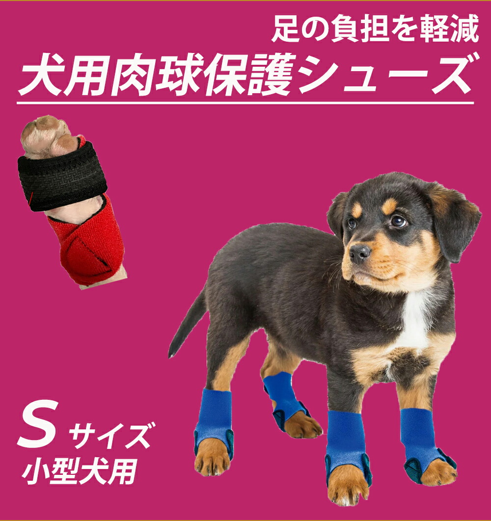 楽天市場 犬用肉球保護シューズ ｓサイズ 小型犬用 ２個組 M Swim