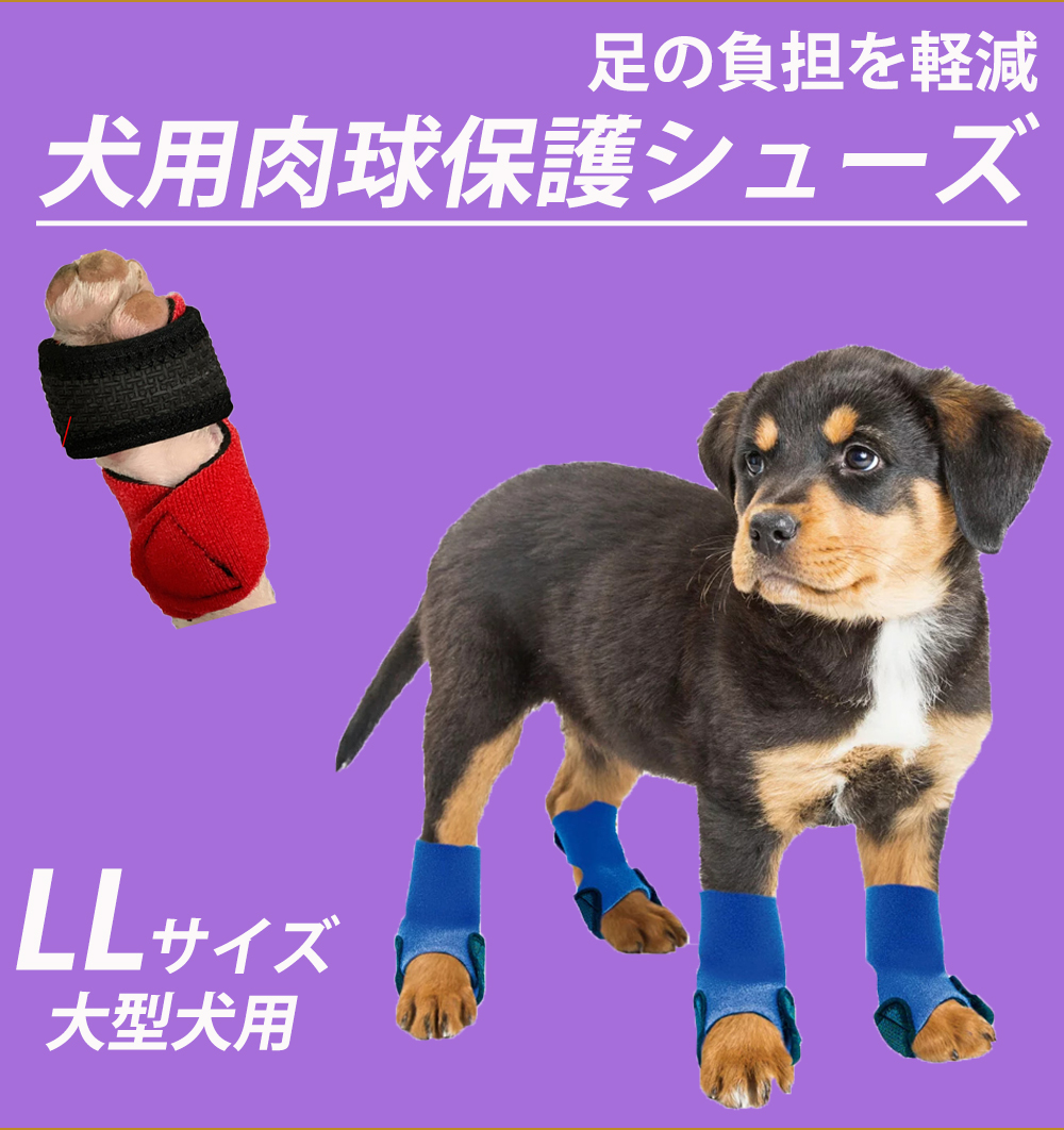 楽天市場 犬用肉球保護シューズ Llサイズ 大型犬用 ２個組 M Swim