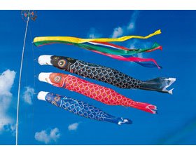 ナイロン鯉五色吹き流し仕掛ける3M6点仕掛けるより