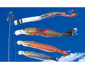 金箔鯉庭園仕掛ける（極点付フルセット）2M仕掛けるより