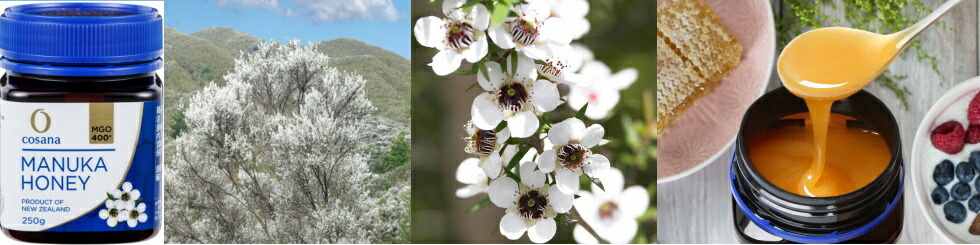 商店 生蜂蜜 30 Off マヌカハニーmgo400 500g 1本 マウナノニカプセル90粒 1個天然の成物 Mgo400 をたっぷり含んでいるマヌカハニー 全米製法特許 ノニ果肉を乾燥粉末にしたノニ成分濃縮パワー お出かけに持ち運びに便利なカプセルタイプ Fucoa Cl