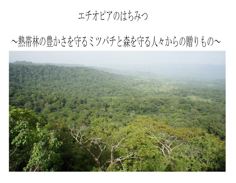 生はちみつ 非加熱 無濾過 ホワイトハニー アンバーレッド550g 2種類セット 黄色い花を咲かせる高木エチオピアセフレラを花の蜜から集められ さわやかな甘さにキレのある酸味 いやみのない本物の蜂蜜の香りがするはちみつです Sermus Es