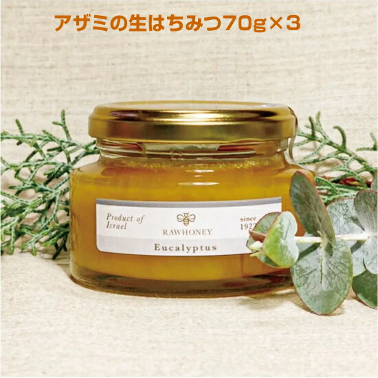 楽天市場】生蜂蜜 「アザミの生はちみつ270g」イスラエル産のガラリア