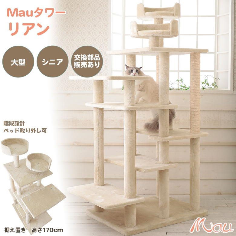 mt060display1.jpg