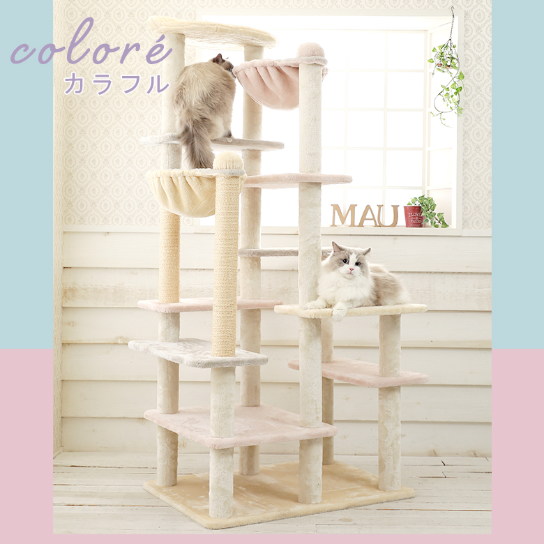 カラフル カラフル