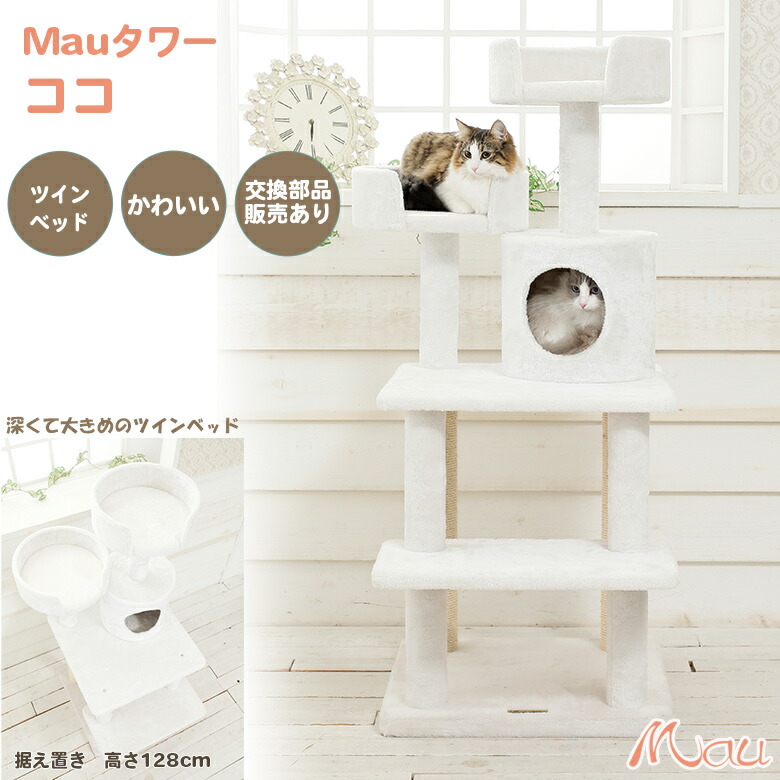 【Mau】猫ごはんLOWタイプブルー&ピンクセット Mau様専用】猫ごはんLOWタイプブルー&ピンクセット - メルカリ