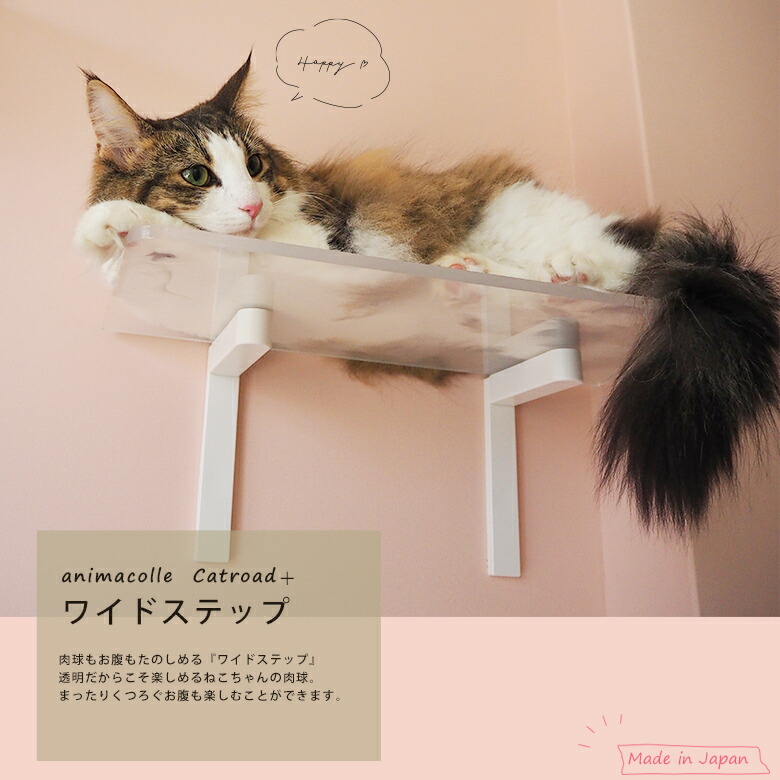 ワイドステップ（クリア）キャットウォーク 賃貸OK DIY 運動不足解消 ストレス軽減 簡単取付 かわいい
