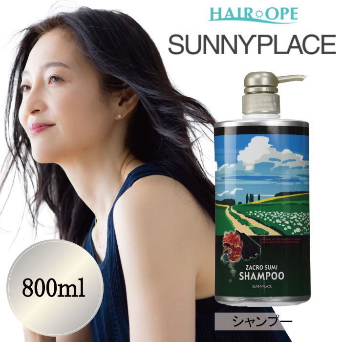 シャンプー san サニープレイス ザクロ精炭酸シャンプー 500ml : 愛らんど