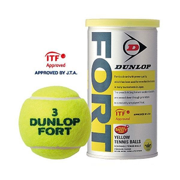 DUNLOP - FORT(フォート) 硬式テニスボール ダンロップ 30缶60球の+