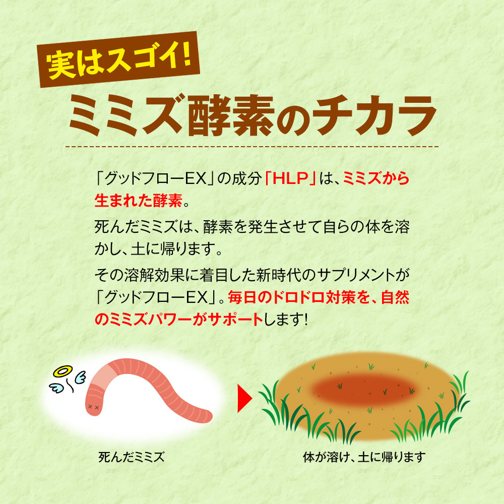 ミミズ酵素サプリ Hlp 純粋国産 公許得るレシピー ナットウキナーゼ 田圃七つチョウセンニンジン Dha Epaごった雑 ハラショー流通ex 準縄麗しさ 18カプセル剤 9時代分 Hotjobsafrica Org