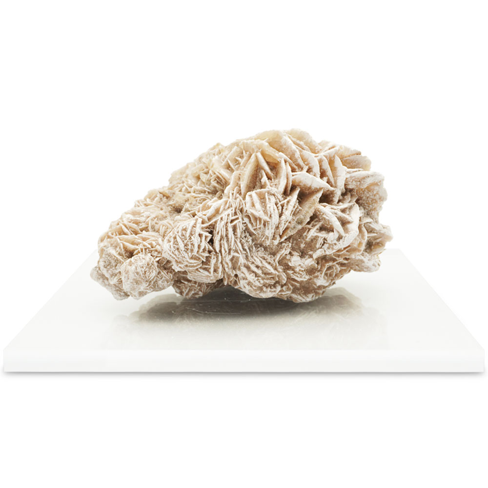 楽天市場】【再入荷】【サイズアップ】デザートローズ 砂漠の薔薇