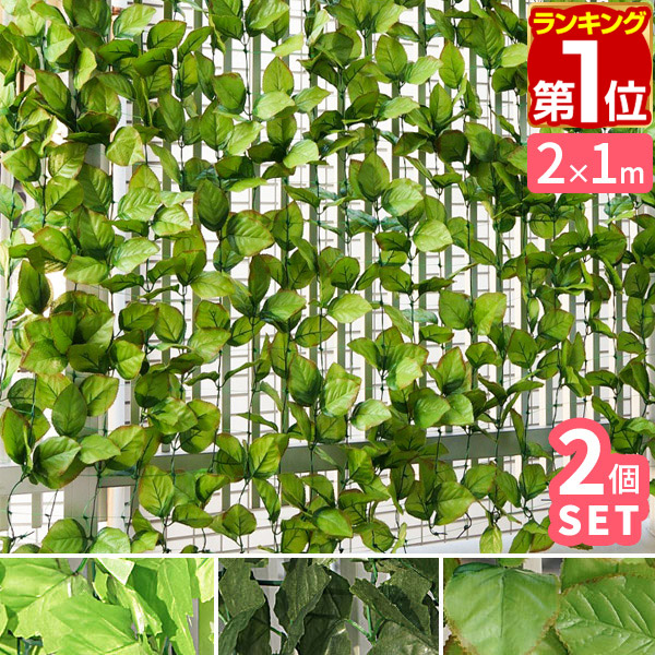 楽天市場】【楽天1位】グリーンフェンス 緑のカーテン 1m×3m 4個 