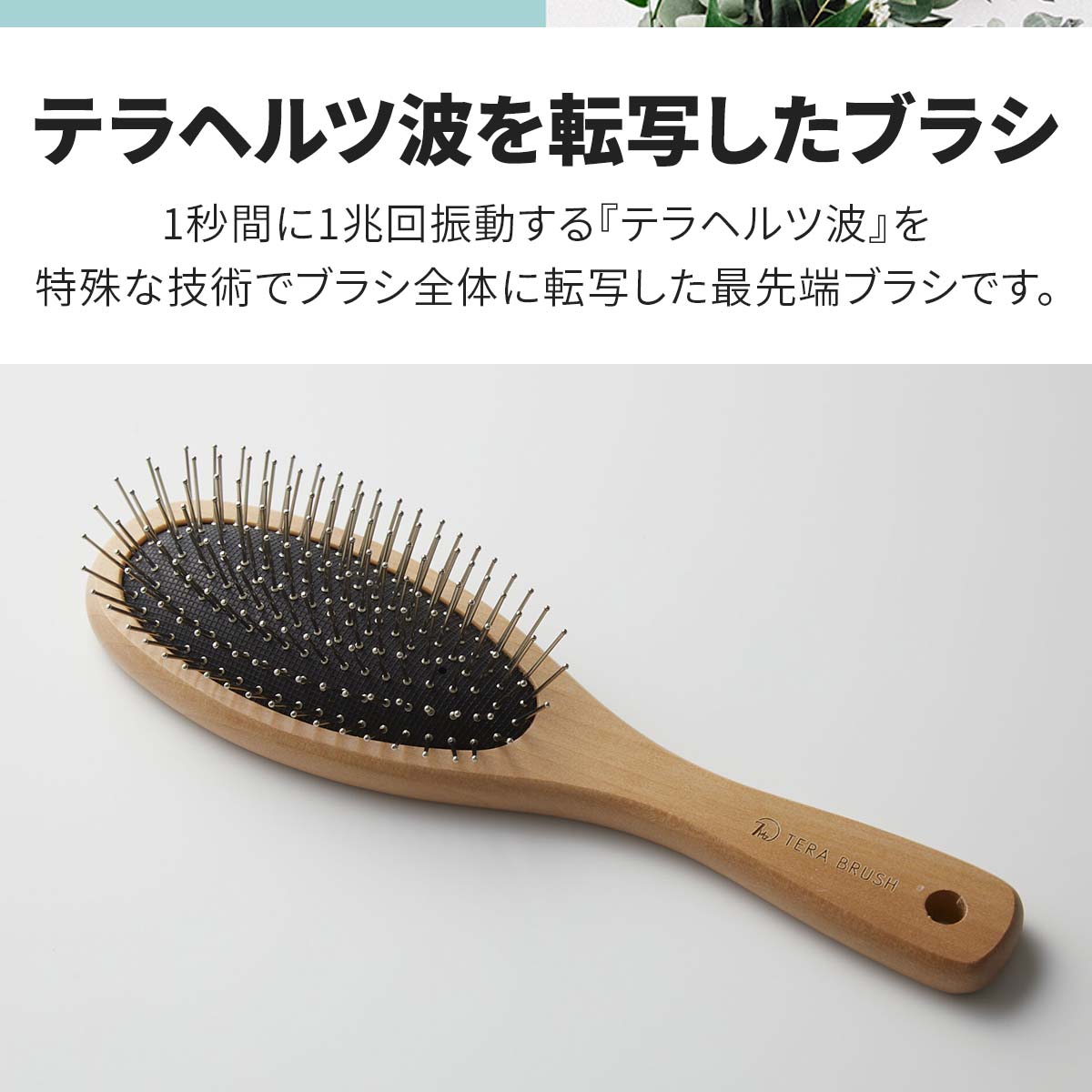 TERA BRUSH(テラブラシ) 1個 fit=scale-down,w=1200