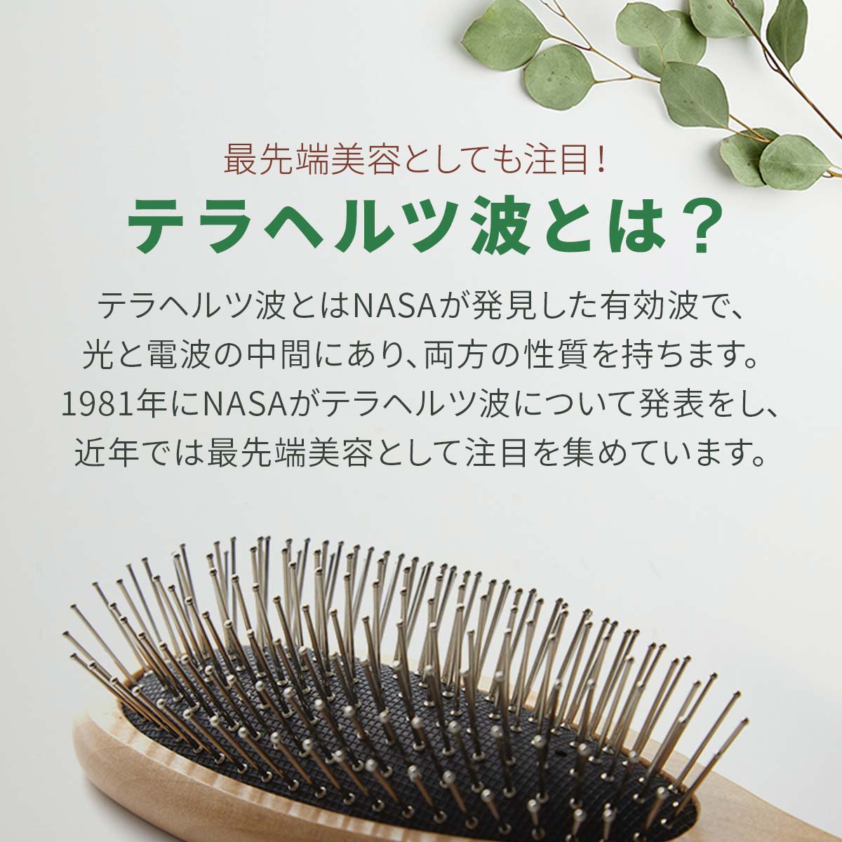 楽天1位】正規品 TERA BRUSH テラブラシ 21.5cm 木製 ヘアー