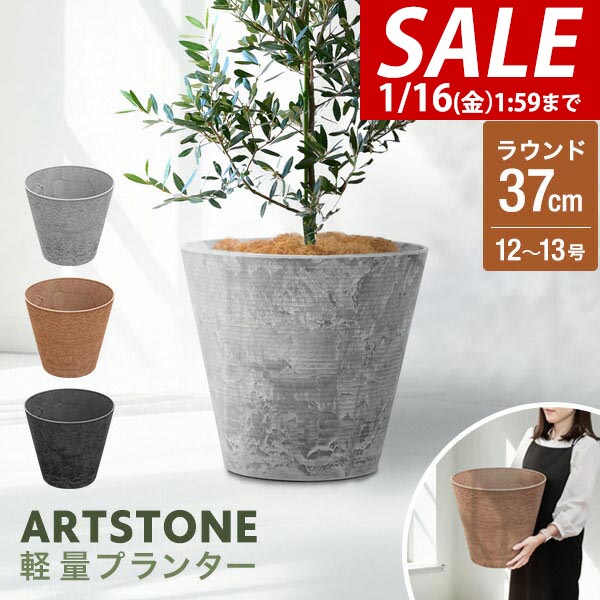 楽天市場】【3,300円→SALE2,970円〜1/16(金)01:59まで】【楽天1位