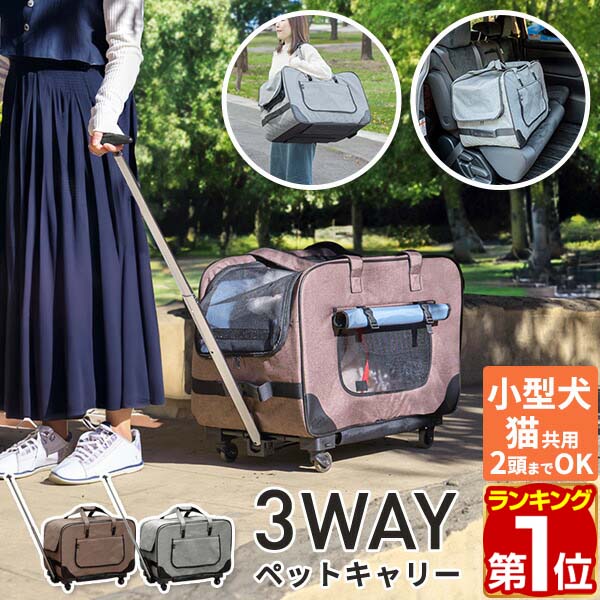 楽天市場】【5,940円→SALE5,500円〜2/10(火)01:59まで】【楽天1位