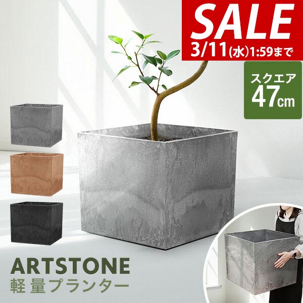 楽天市場】【8,250円→SALE7,590円〜3/11(水)01:59まで】【楽天1位