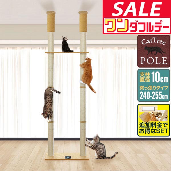 楽天市場】マルカン キティウォーク CT-523 : ペット健康便