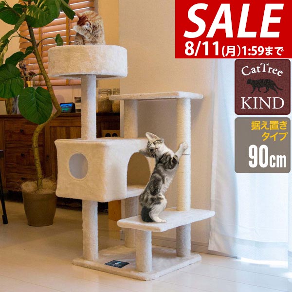 楽天市場】【P5☆10%OFF 8/10-11限定!!】FEANDREA キャット