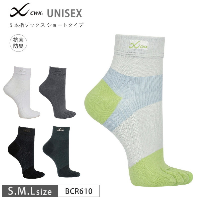 ソックス ZX V2 SOCKS｜Japan official｜alpinestars アルパインスターズ