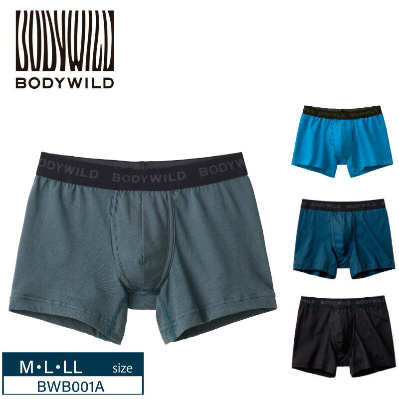 GUNZE　グンゼ BODY WILD ボクサーパンツ 8枚 楽天市場】20%OFF GUNZE グンゼ BODY WILD STANDARD ボディワイルド