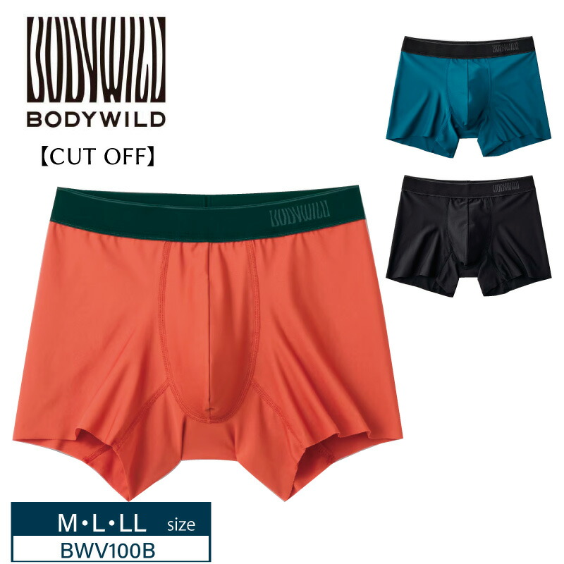 楽天市場】20%OFF GUNZE グンゼ BODY WILD EZX イージーエックス