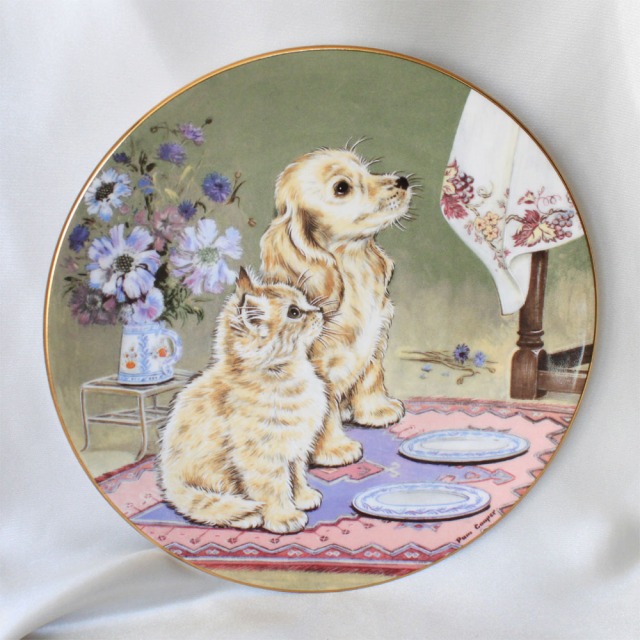 楽天市場】可愛らしい子猫の絵皿 Whoops a Daisy ロイヤルウースター