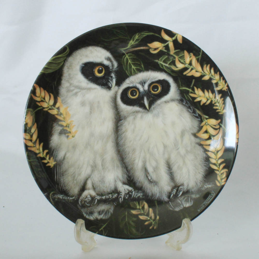 スペクタクルド アウル Spectacled owl Chicks メガネフクロウ プレート ウェッジウッド WEDGWOOD ベビー アウル 梟 絵皿 ふくろうの赤ちゃん Baby Owl デック トゥイニー画 イギリス ダンバリー ミント 飾り皿 【中古】