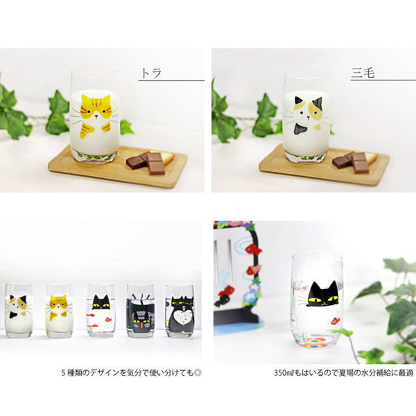 【楽天市場】猫グラス 5種セット 猫好き必見！かわいい5匹の猫のグラス デザイングラス 350ml×5種類 猫コップ 5個 ねこコップ ネコ