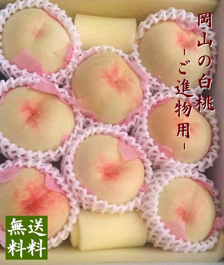 【予約販売】岡山白桃　2kg箱詰　ご進物用　6～8個　【ご進物・贈答用・お中元フルーツ】７月上旬～中旬頃よりお届け