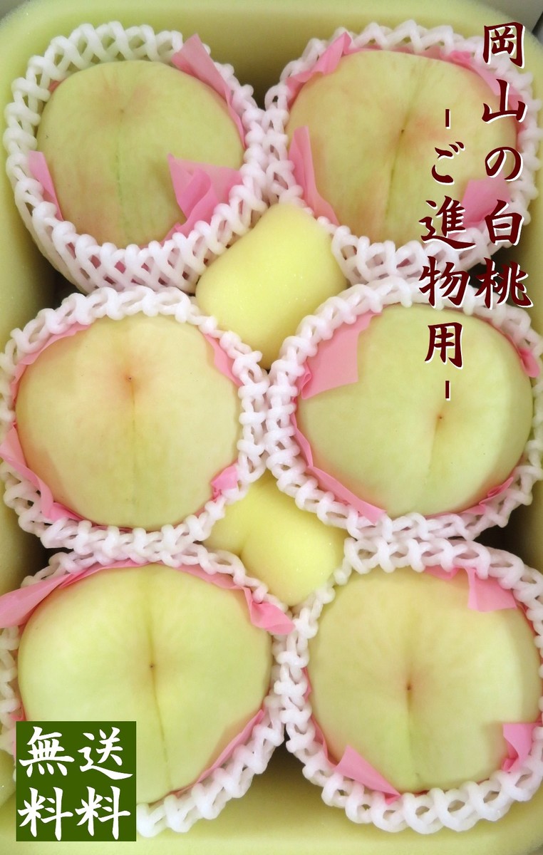 【予約販売】岡山白桃1.5kg箱詰　<br>ご進物用　5個～6個<br>【ご進物・贈答用・お中元フルーツ】<br>7月上旬～中旬頃よりお届け