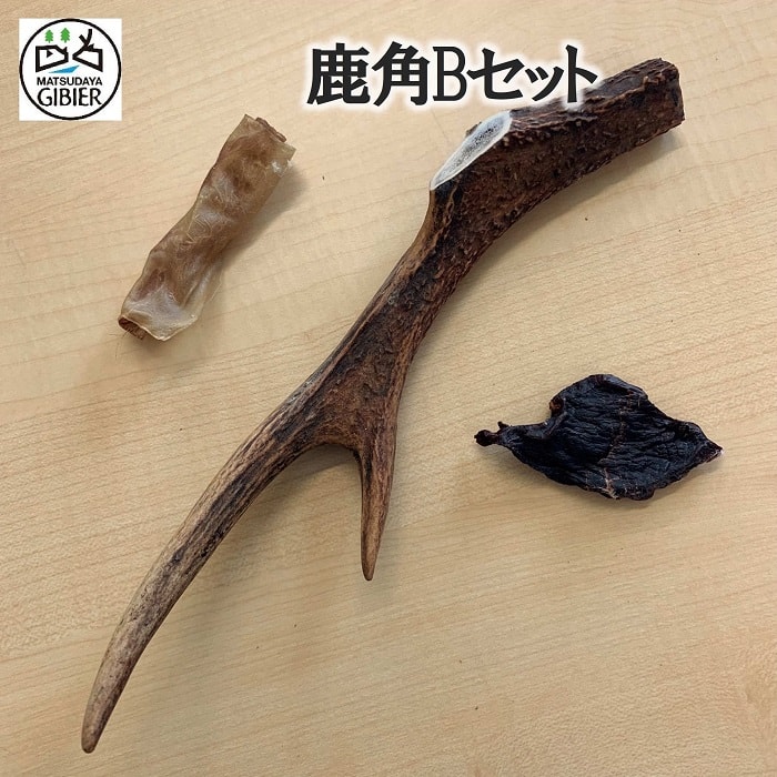 楽天市場】鹿の角/ツノAセット 令和7年1月獲れ！ ※おやつは時期