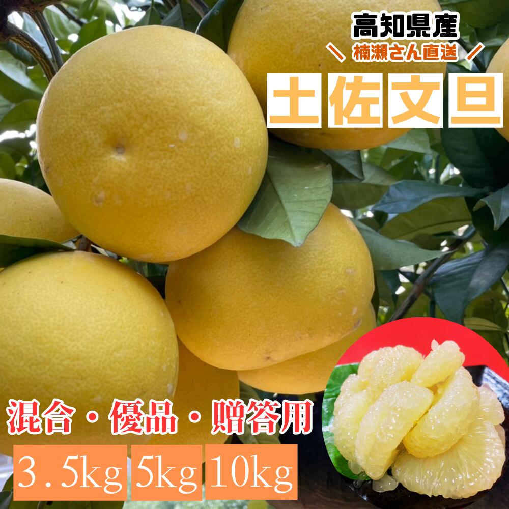 楽天市場】【12月31日まで200円OFFクーポン配布中☆】高知県産 楠瀬