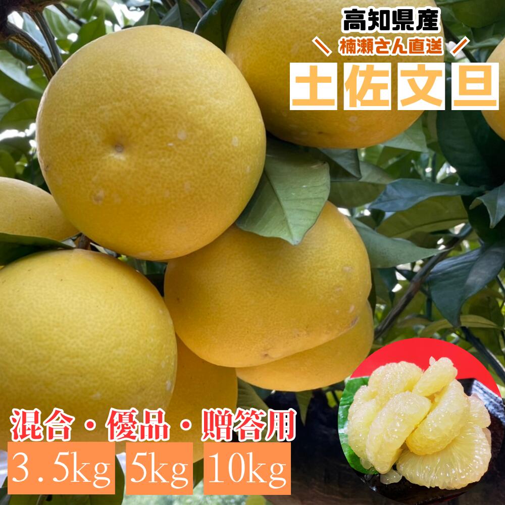 楽天市場】【2月28日まで200円OFFクーポン配布中☆】高知県産 楠瀬さん