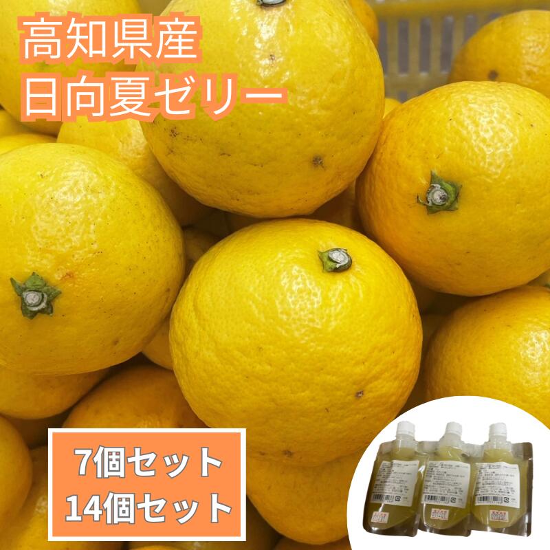 高知県産日向夏ゼリー|7個セット 14個セット ギフト 日向夏 ゼリー 柑橘 おやつ デザート スイーツ さっぱり 美味しい お取り寄せ プレゼント お返し 誕生日プレゼント ご自宅用 果実