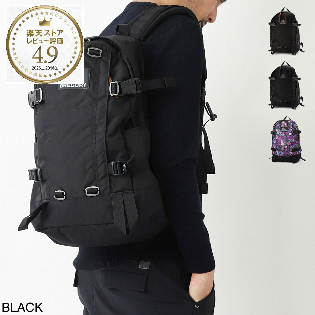 グレゴリー GREGORY バックパック リュックサック メンズ レディース 131365 1041 black CLASSIC ALL DAY V2.1【返品送料無料】