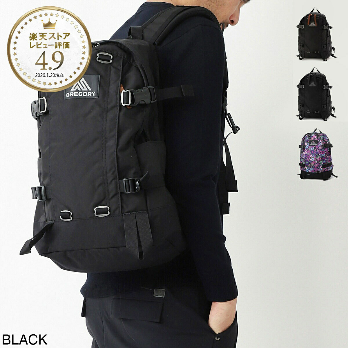 グレゴリー GREGORY バックパック リュックサック メンズ レディース 131365 1041 black CLASSIC ALL DAY V2.1【返品送料無料】|モダンブルー店